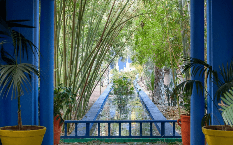 Jardin Majorelle: Marrakech’s Colorful Botanical Paradise