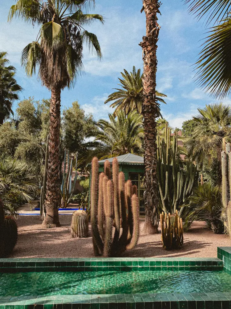 The Most Instagram-Worthy Spots in Majorelle Garden: Capture Marrakech’s Timeless Magic