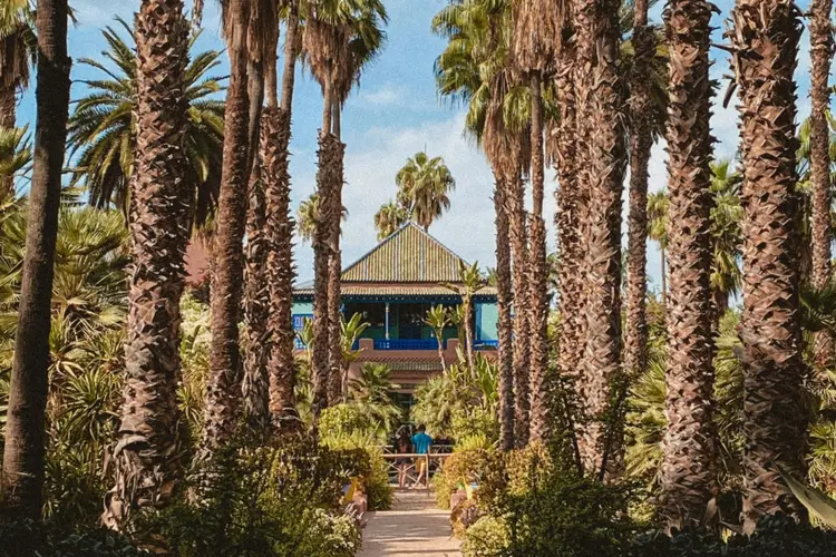5 Tips for an Unforgettable Majorelle Garden Experience